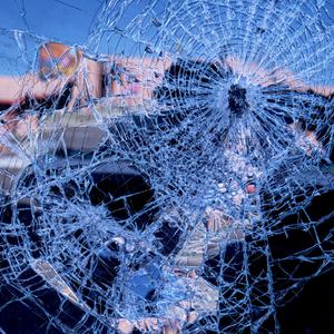 女人与公豬交视频免费
