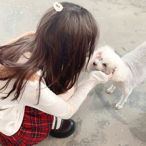 女人与公豬交视频免费
