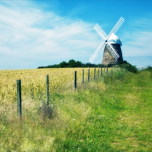 女人与公豬交视频免费
