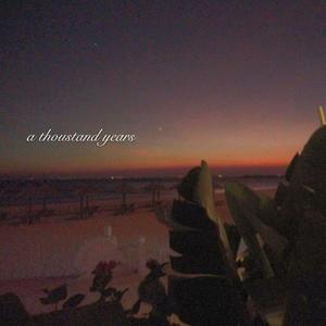 女人与公豬交视频免费
